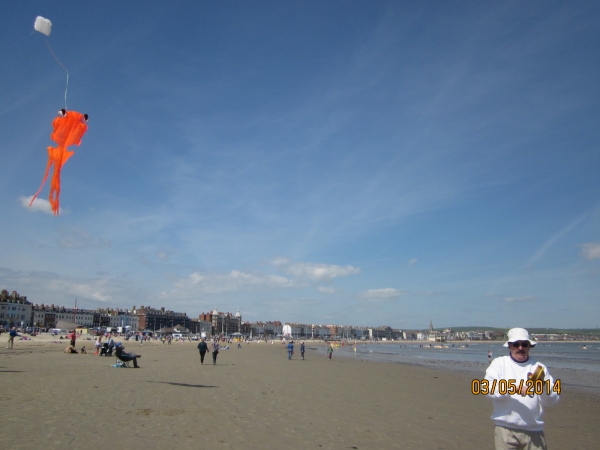 dicky and his chinese 3D goldfish kite