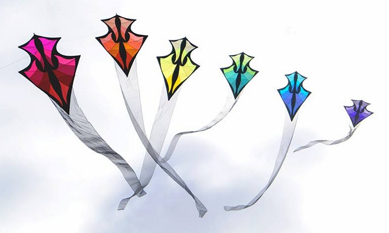6 Brasington kites